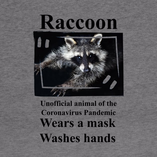Raccoon ... by DeVerviers